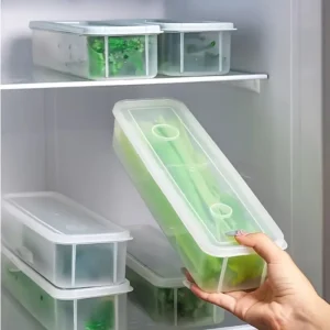 Plastic Food Storage Container with Lid